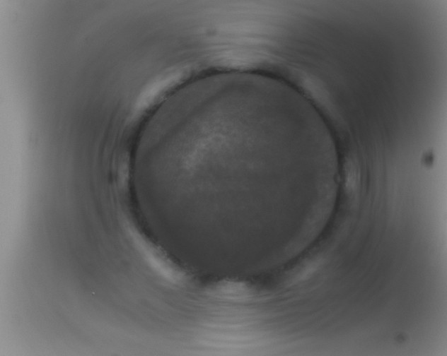 X0000113950685200910161940