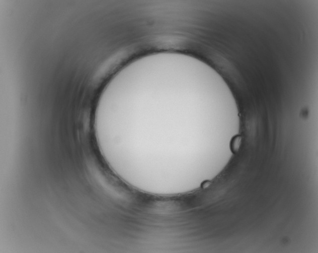 X0000113950686200910161940