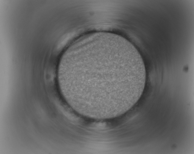 X0000113950687200910161940