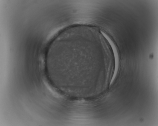 X0000113950688200910161940