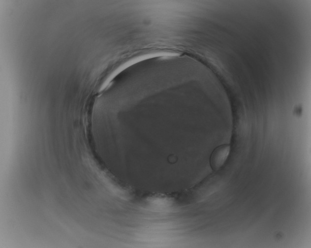 X0000113950689200910161940