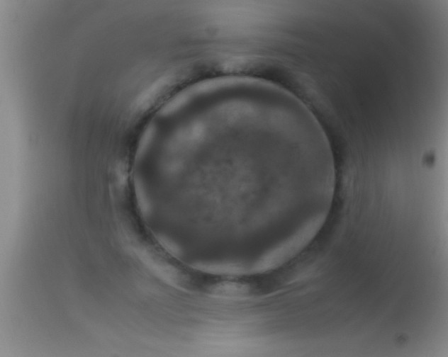 X0000113950691200910161940