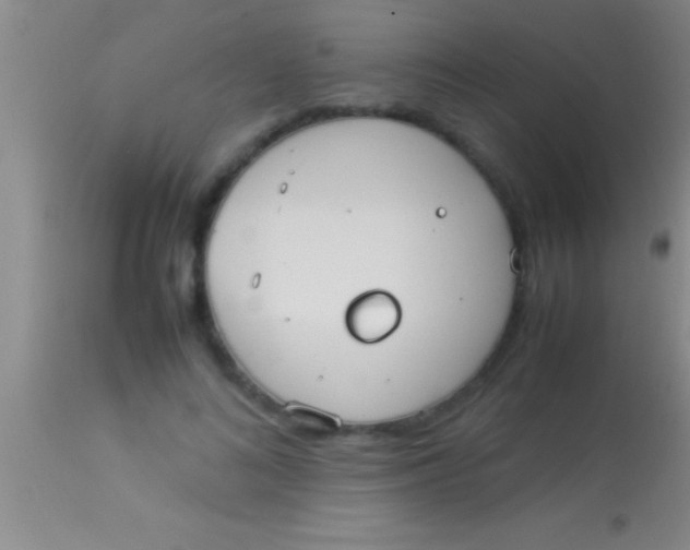 X0000113950692200910161940