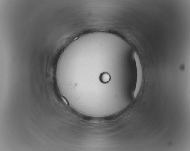 X0000113950693200910161940