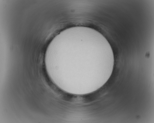 X0000113950695200910161940