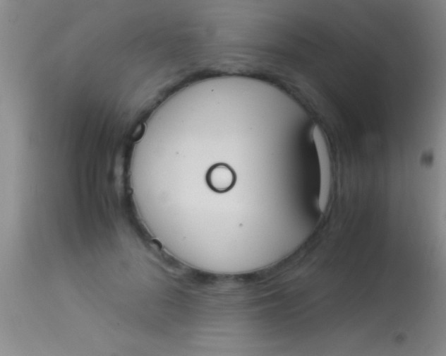 X0000113950696200910161940