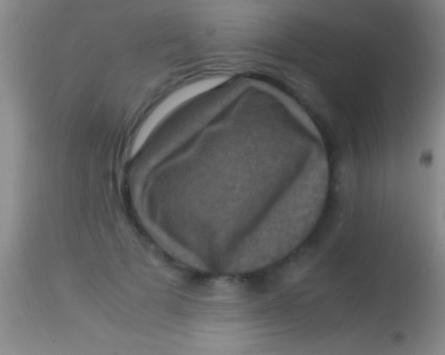 X0000113950697200910161940