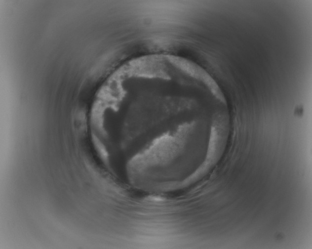X0000113950699200910161940