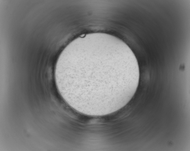 X0000113950700200910161940