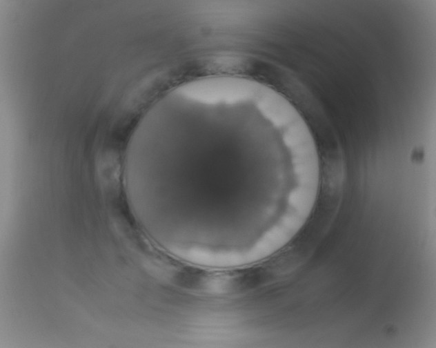 X0000113950701200910161940