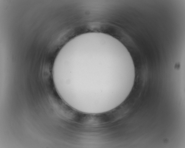 X0000113950702200910161940
