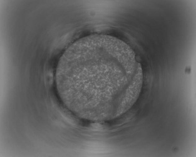 X0000113950703200910161939