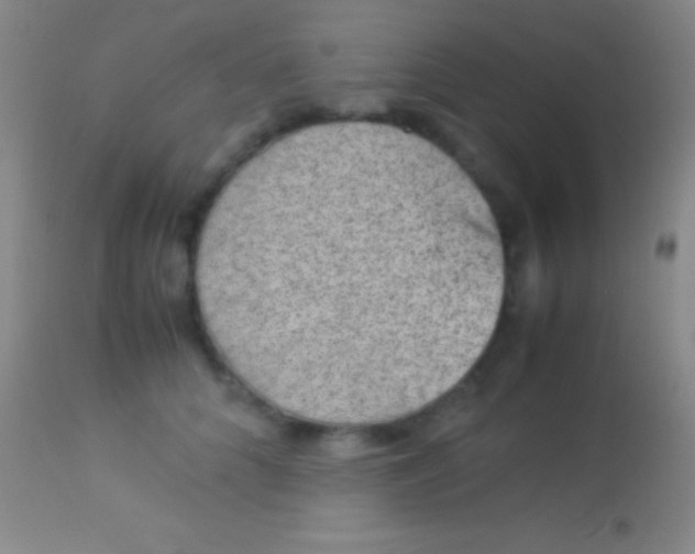 X0000113950704200910161939