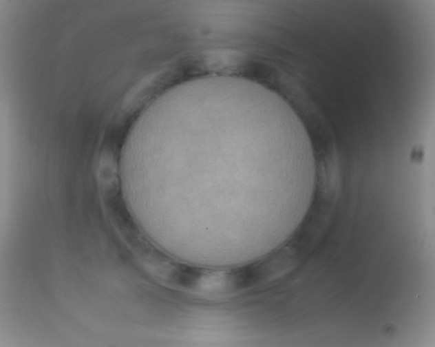 X0000113950705200910161939