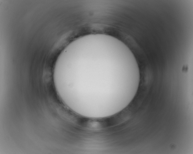 X0000113950706200910161939