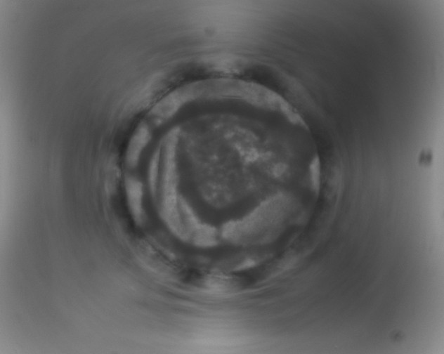 X0000113950707200910161939