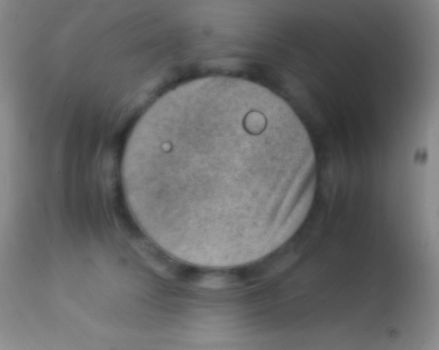 X0000113950708200910161939