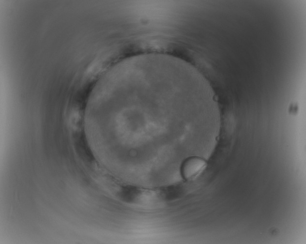 X0000113950709200910161939