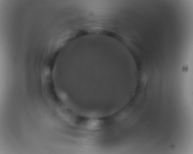 X0000113950711200910161939