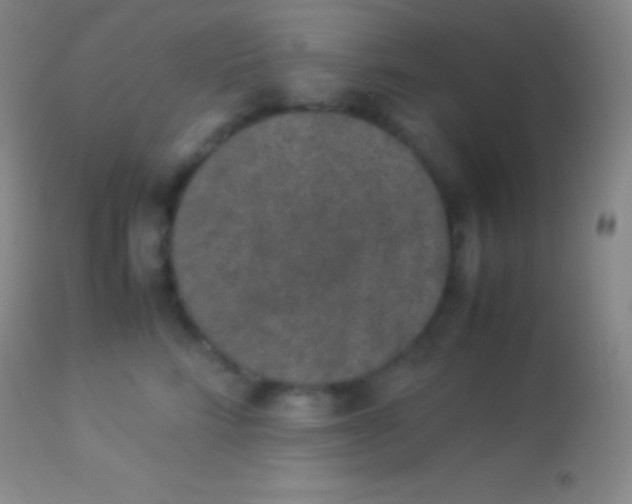 X0000113950712200910161939