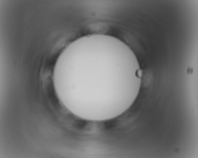 X0000113950713200910161939