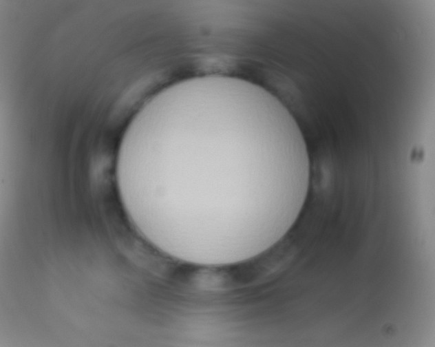 X0000113950714200910161939