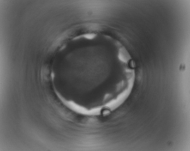 X0000113950715200910161939