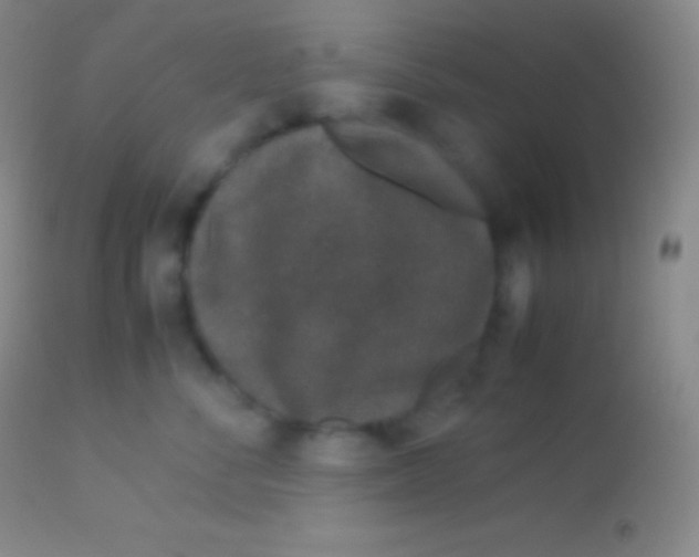 X0000113950716200910161939