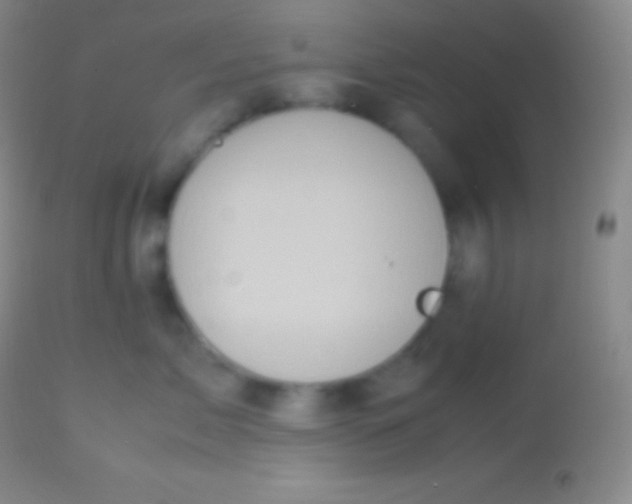 X0000113950717200910161939