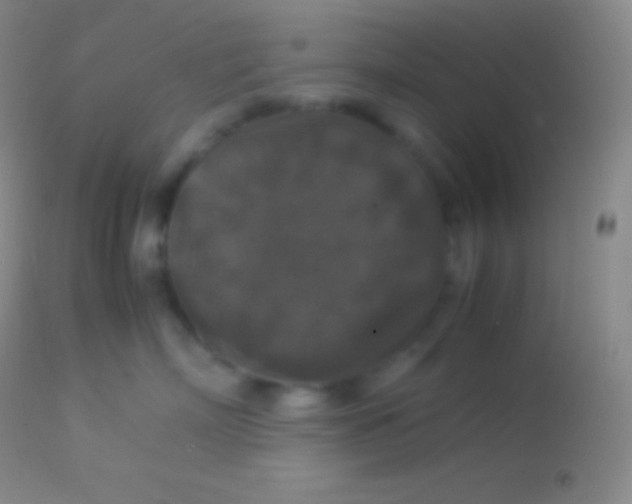 X0000113950718200910161939