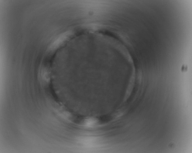 X0000113950719200910161939