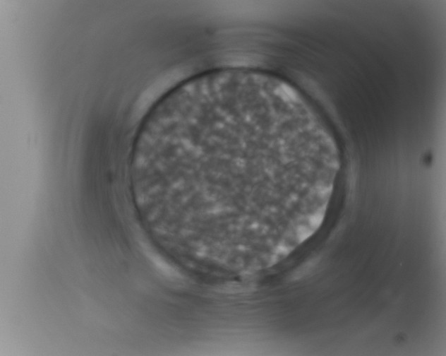 X0000113950721200910161939