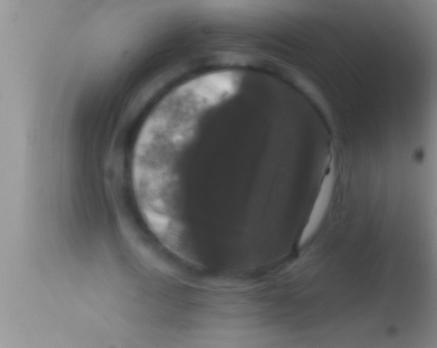 X0000113950722200910161939