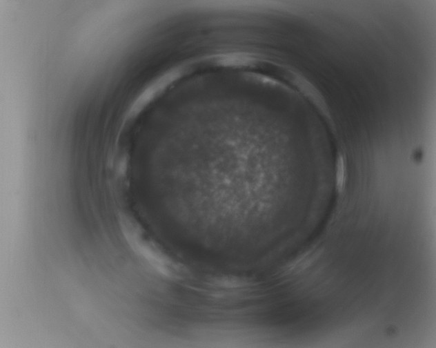 X0000113950723200910161939