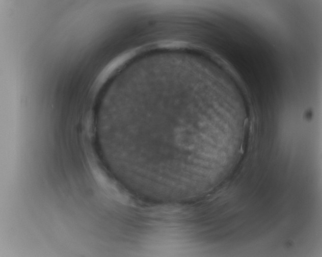 X0000113950724200910161939