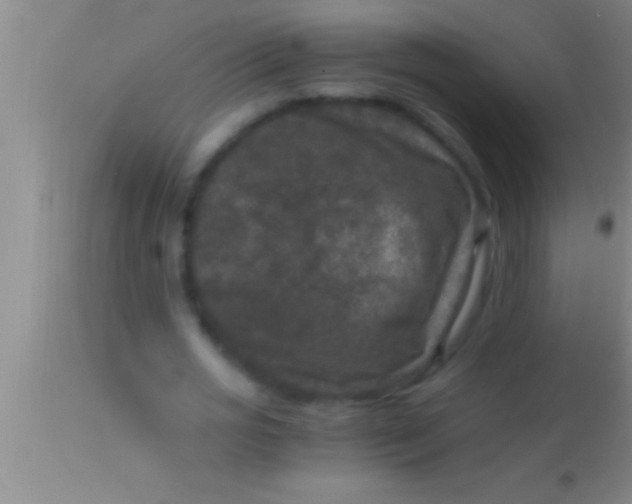 X0000113950725200910161939