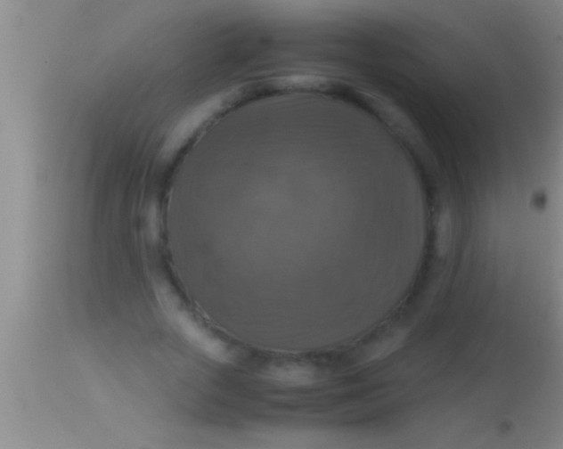 X0000113950729200910161939