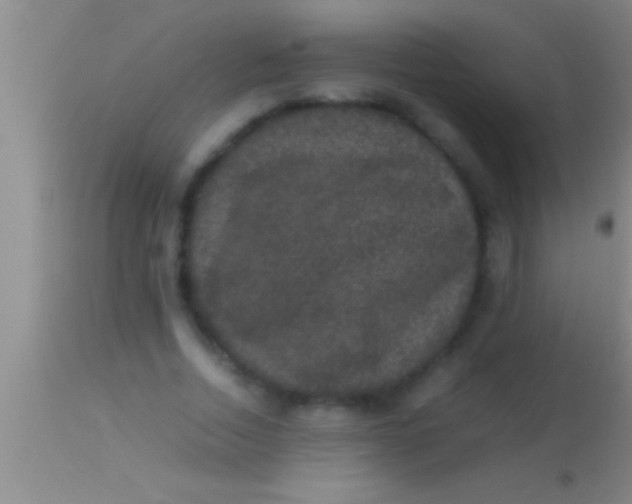 X0000113950730200910161939