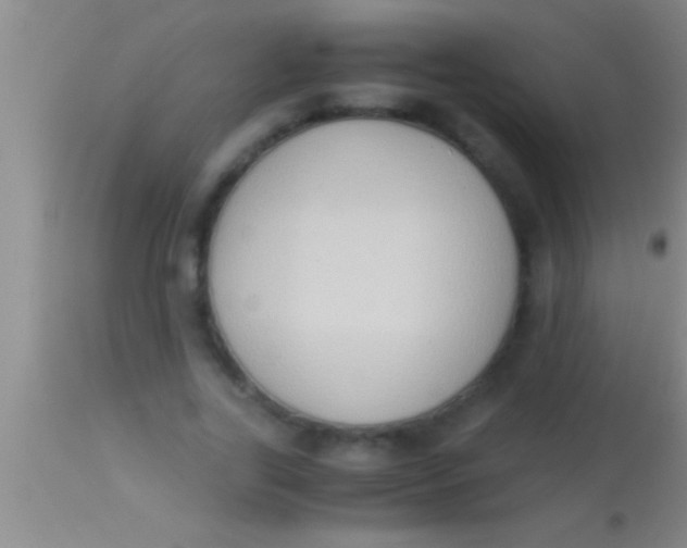 X0000113950731200910161939