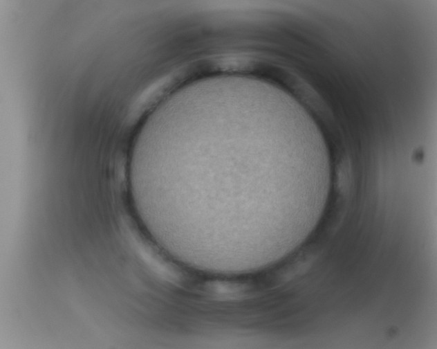 X0000113950733200910161939