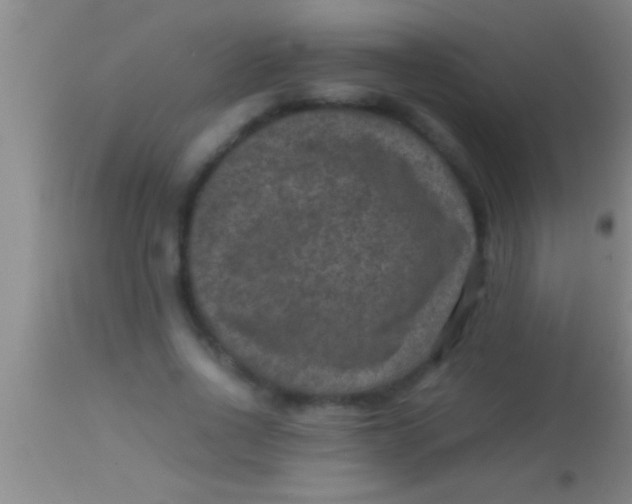 X0000113950734200910161939