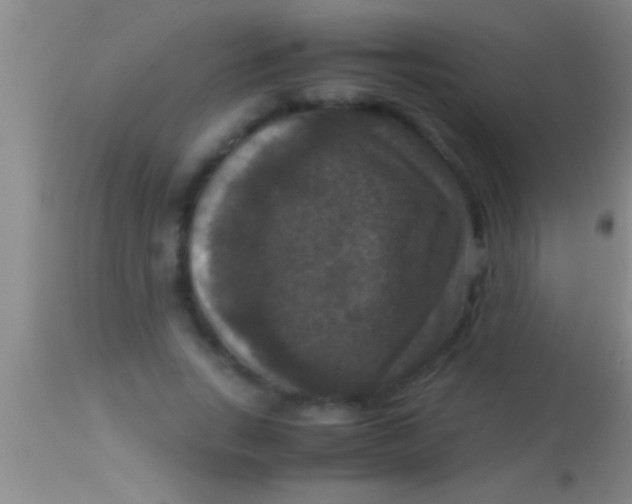 X0000113950735200910161939