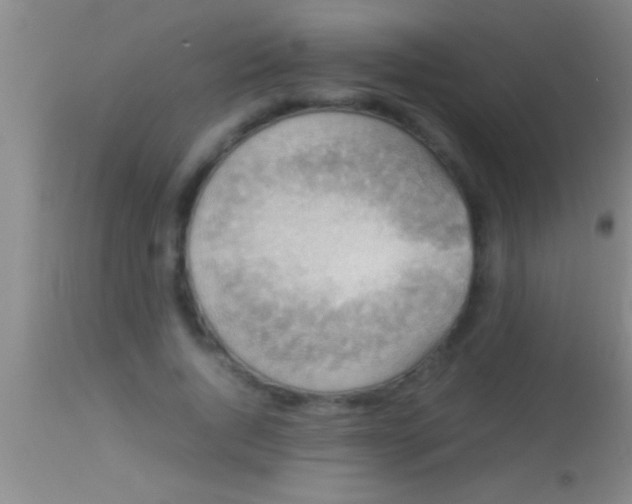 X0000113950736200910161939