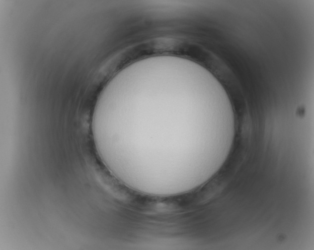 X0000113950737200910161939