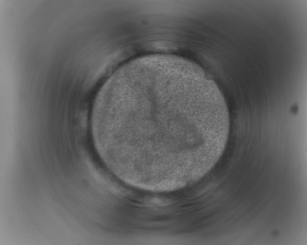 X0000113950739200910161939