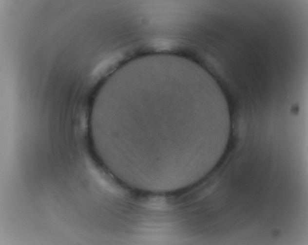 X0000113950740200910161939
