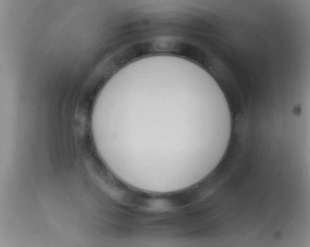 X0000113950741200910161939