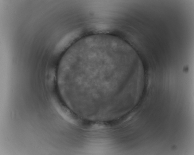 X0000113950742200910161939