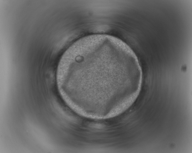 X0000113950743200910161939