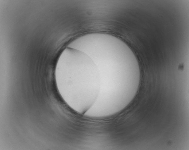 X0000113950744200910161939
